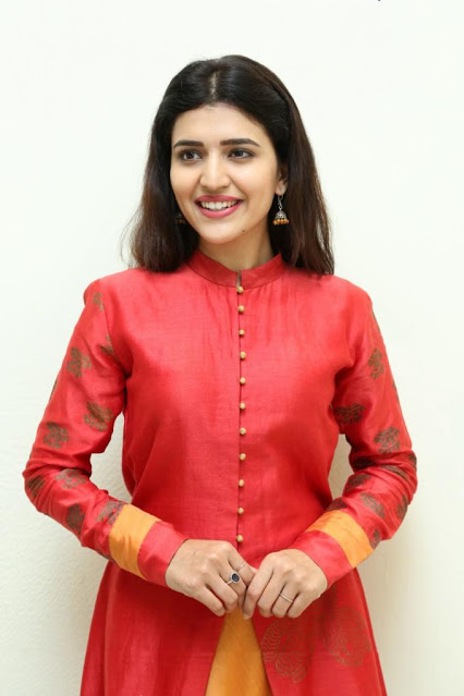 Actress Chitra Shukla Beautiful Photo Shoot In Red Dress 8